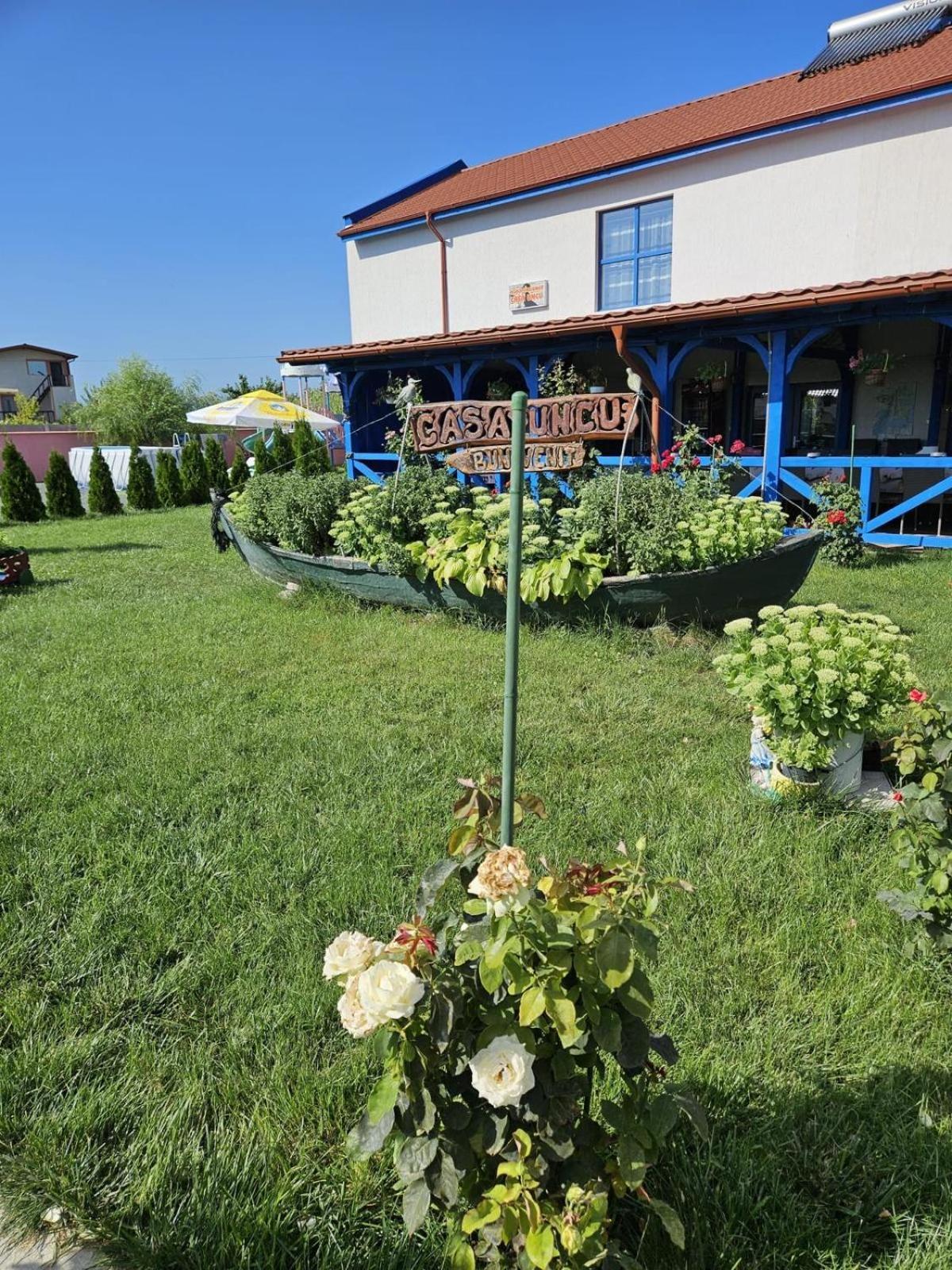 ホテル Agropensiuea Casa Uncu ムリギオル エクステリア 写真