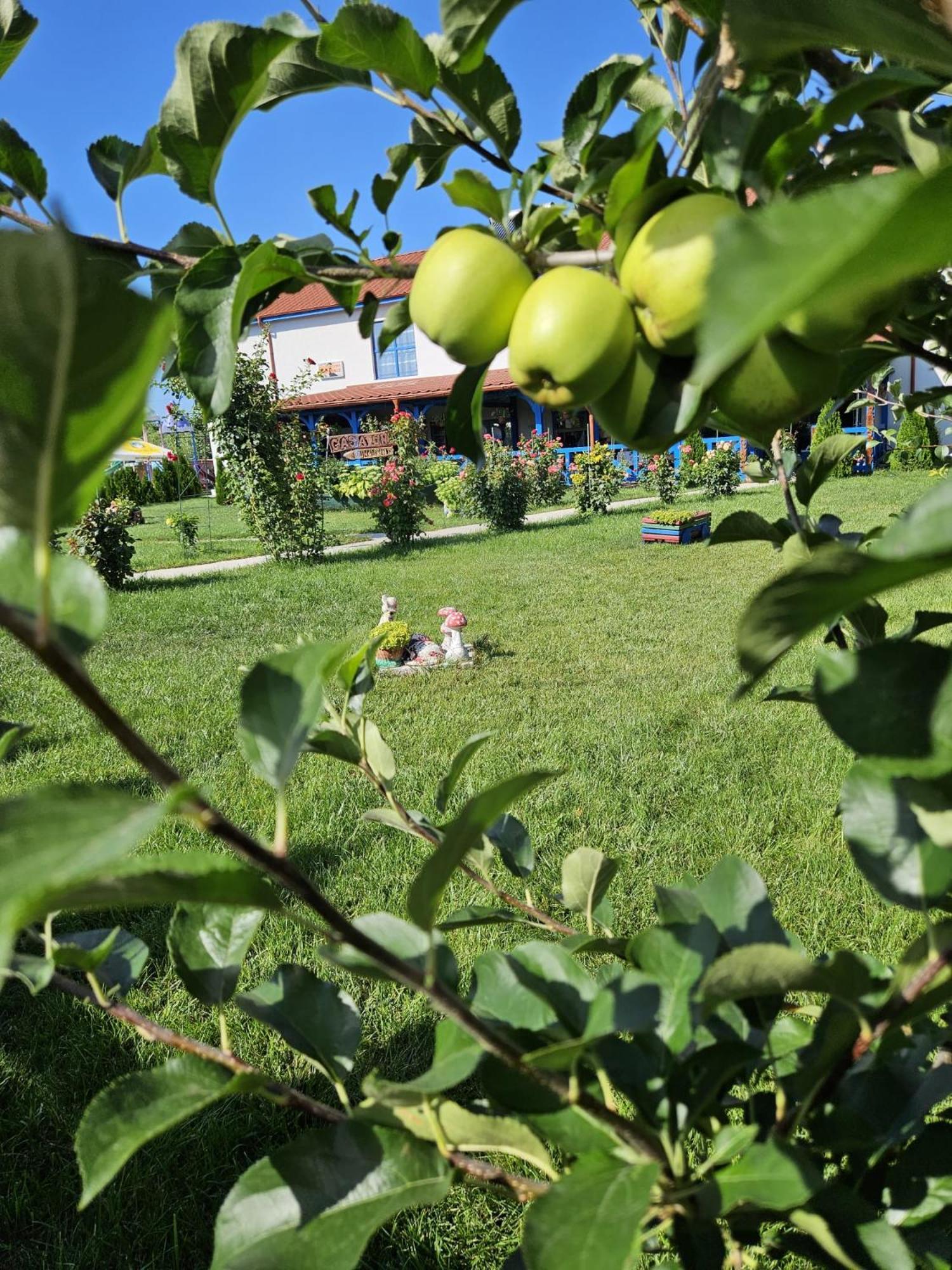 ホテル Agropensiuea Casa Uncu ムリギオル エクステリア 写真